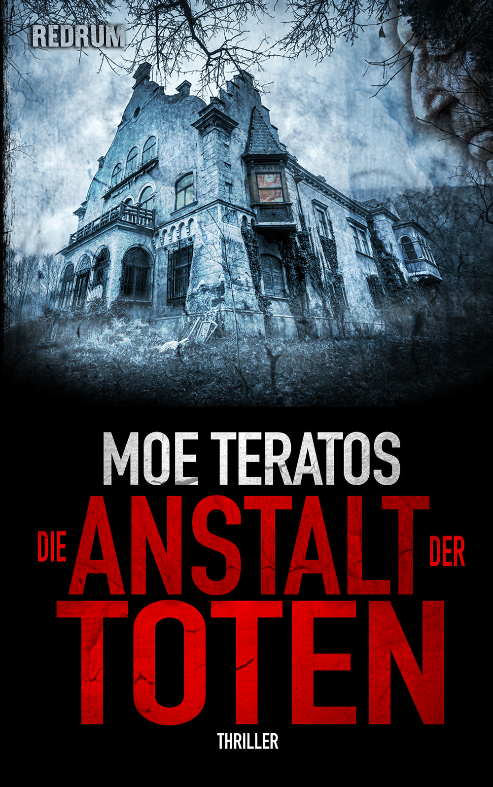 Die Anstalt der Toten